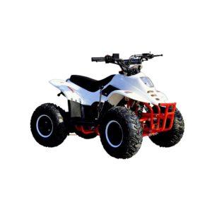 KXD QUAD 001 7- Bigfoot